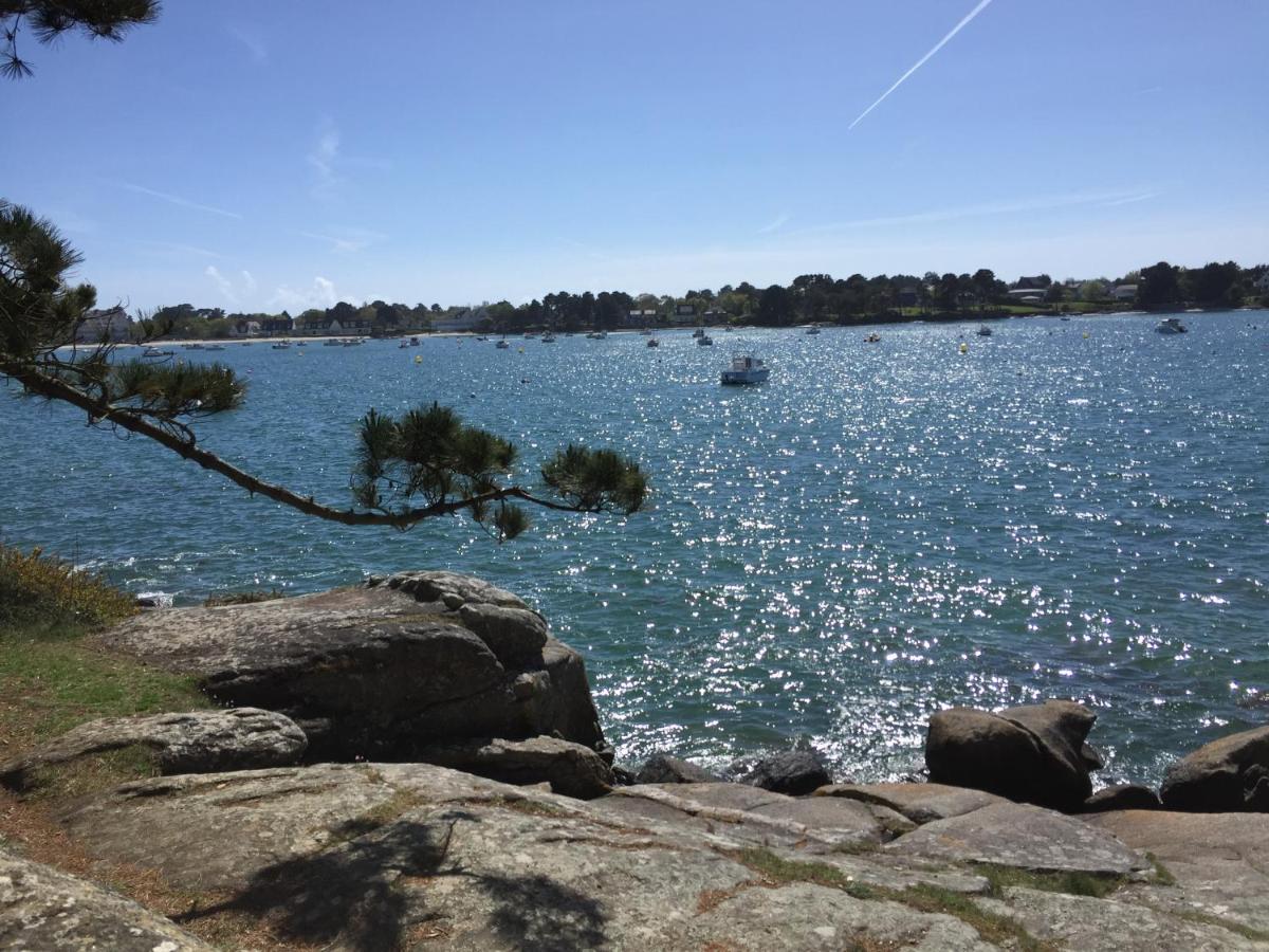 L'Elephant Blanc De Concarnoloc Concarneau Exteriör bild