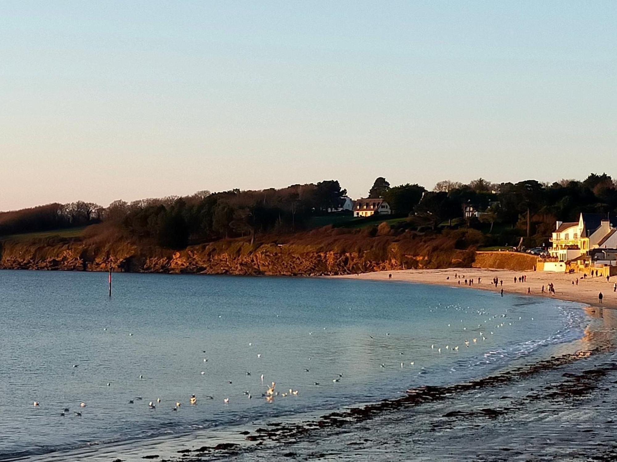 L'Elephant Blanc De Concarnoloc Concarneau Rum bild